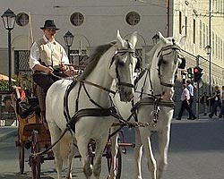Ярмарка святого Руперта длится пять дней и занимает весь центр города Ярмарка святого Руперта длится пять дней и занимает весь центр города