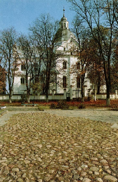 Фарный костел Фарный костел