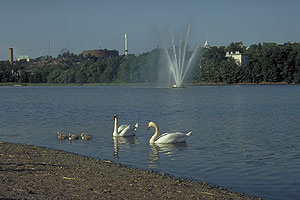 Залив Töölö Залив Töölö