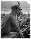 Notre Dame Notre Dame