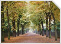 Bois de Boulogne Bois de Boulogne
