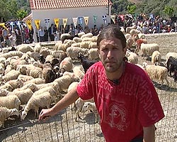 Из Ираклиона я отправился вглубь острова, в деревню Асси-Гонию Из Ираклиона я отправился вглубь острова, в деревню Асси-Гонию