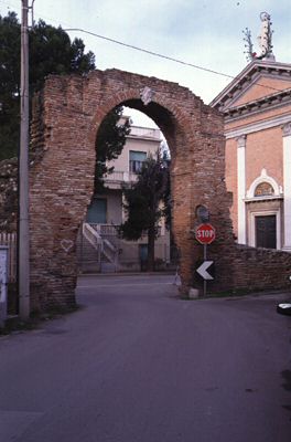  Gervasona