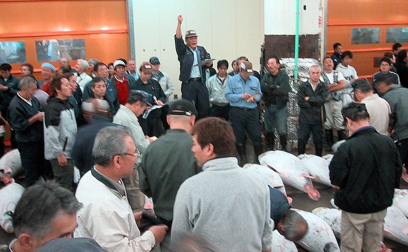 Торги тунцом на рынке Цукидзи Торги тунцом на рынке Цукидзи