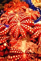 Сырые морепродукты Сырые морепродукты
