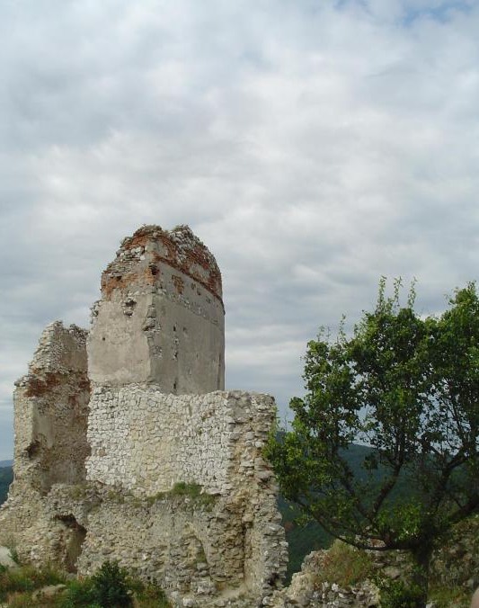 Замок Чаштице Замок Чаштице