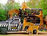 Safari World - огромный парк (170 акров) под Бангкоком со своими питомником гиббонов и попугаев, дельфинариумом и морскими котиками