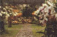 Nong Nooch Orchid Wonderland - огромный сад в окрестностях Паттайи, знаменитый своими орхидеями. Nong Nooch Orchid Wonderland - огромный сад в окрестностях Паттайи, знаменитый своими орхидеями.