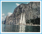 Парусник Парусник