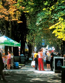 Крещатый парк Крещатый парк