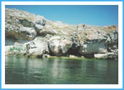 Тарханкут Тарханкут