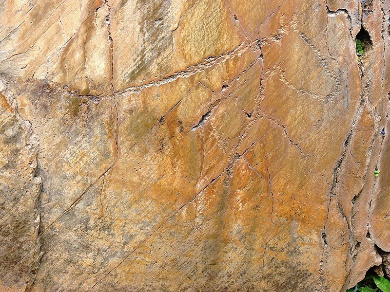 Canada do Inferno / Rego da vide