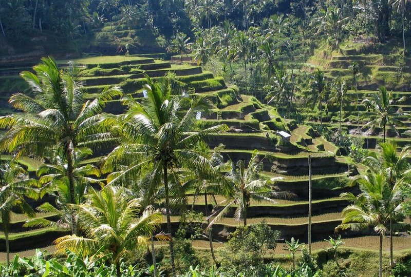 Cultural Landscape of Bali Province: the Subak System as a Manifestation of the Tri Hita Karana Philosophy