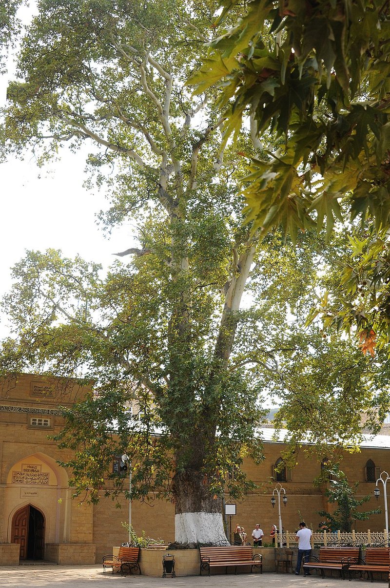 Дербентская Джума-мечеть