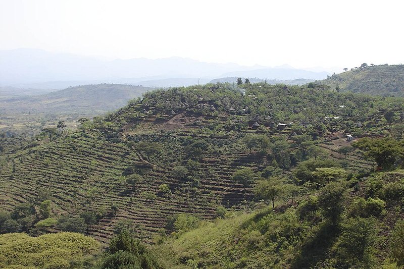 Konso Cultural Landscape