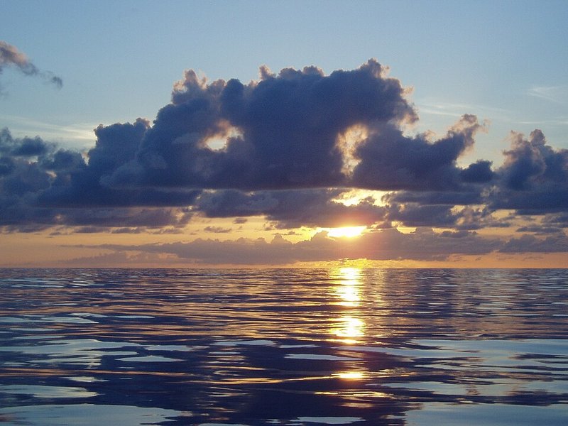 Национальный морской парк Папаханаумокуакеа