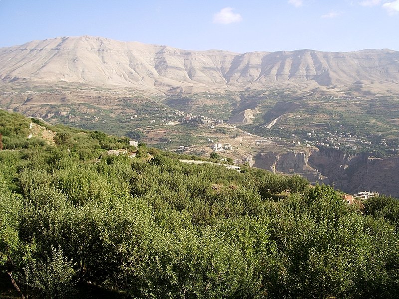 Ouadi Qadisha (the Holy Valley) and the Forest of the Cedars of God (Horsh Arz el-Rab)