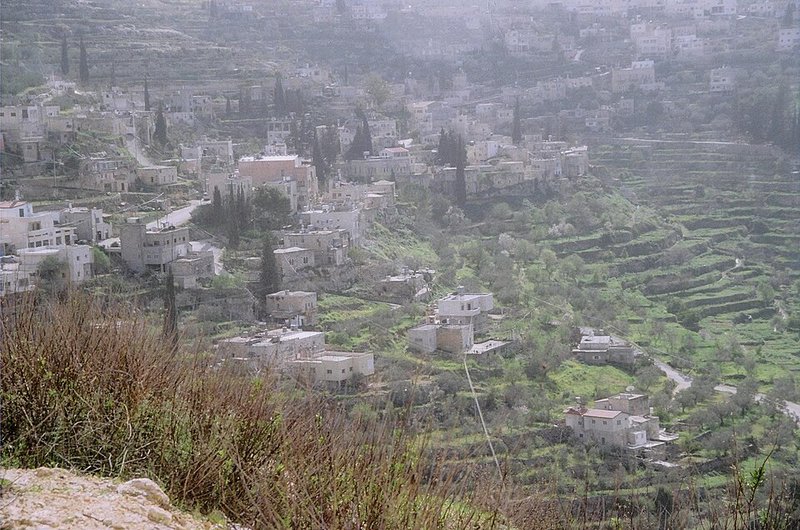 Palestine: Land of Olives and Vines – Cultural Landscape of Southern Jerusalem, Battir