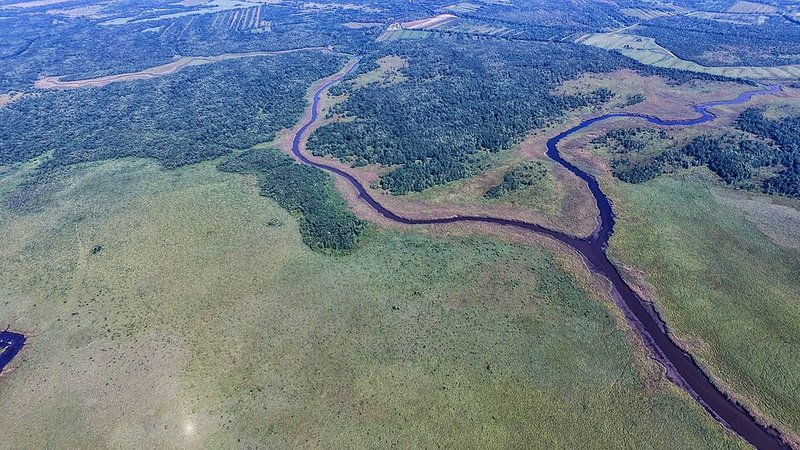 Влажные леса и водно-болотные угодья Колхиды