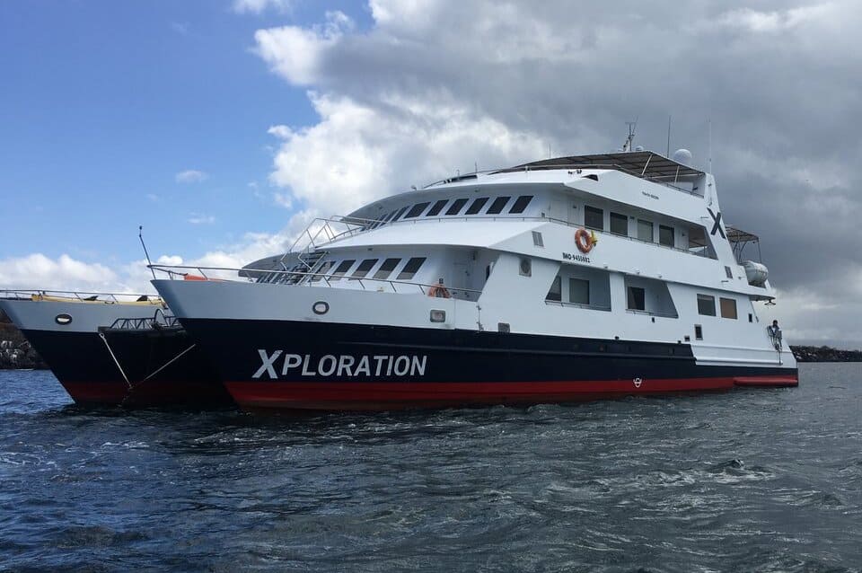 Celebrity Xploration