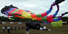 В Малайзии пройдет фестиваль воздушных змеев