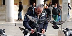 Голубей изгоняют с главной площади Венеции