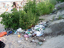 Крымский фестиваль \Казантип\ привел к локальной экологической катастрофе