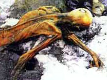 Немецкая туристка получила 175 тысяч евро за найденную в Альпах мумию