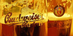 Чешский Budweiser признан лучшим пивом мира