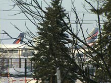 У россиян остались считаные дни для получения новогодних виз