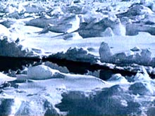 Немецкая блоггерша спасла туриста, решив полюбоваться закатом в режиме онлайн