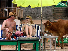 В Гоа туристов будут инструктировать по поводу того, как лучше себя вести