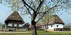 Новые объекты в этнографическом музее под Будапештом