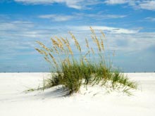 Турменеджеров задержали на выходе из колонии и отправили в СИЗО