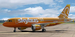 Американская Skybus Airlines разорилась за год