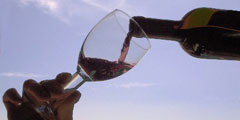 Молодое вино можно попробовать в Италии