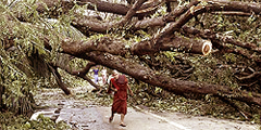 Тысячи человек стали жертвами урагана в Мьянме