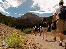 \Ромир\: 8 из 10 россиян в этом году не собираются на отдых за рубеж