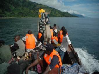 В лесах Конго найдено шесть новых видов животных