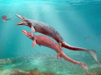 Волынских рыбаков терроризирует доисторический монстр