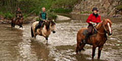 Конные туры – еще одна возможность отдыха в Карелии