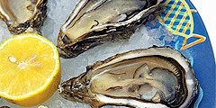 Гурманы могут остаться без устриц