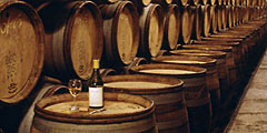 Винные погреба Тосканы распахнут двери для туристов