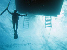 В Египте инструкторы по дайвингу готовятся к забастовке