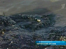 Черное море превращается в мировую клоаку, считают экологи