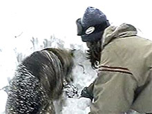 Для 50 туристов из России отпуск 2009 года закончился смертью