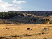 Власти Крыма спасают заповедники, не пуская туда туристов