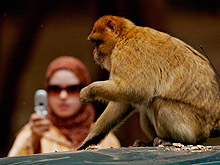На Ближнем Востоке набирает обороты женский туризм