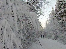 Путевки на Новый год почти распроданы, но Подмосковье \зависло\