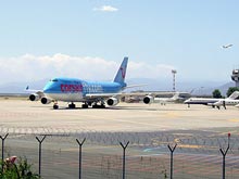 Главный аэропорт Индии отбивается от полчищ птиц, обезьян и коров